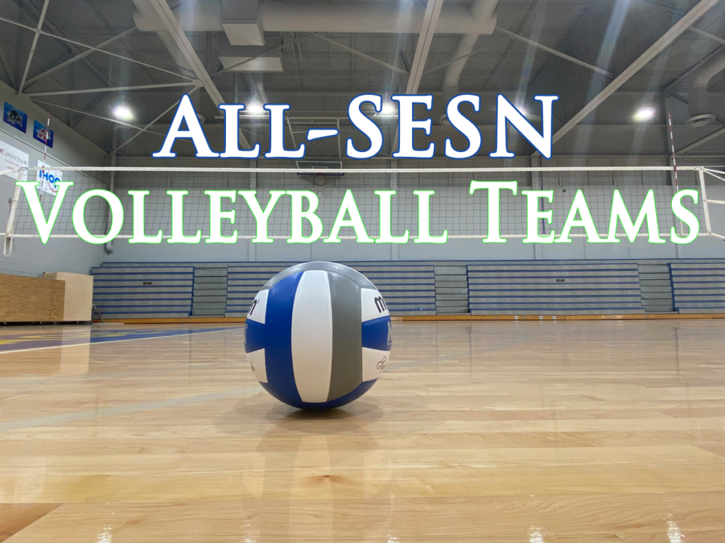 volleyball team websites